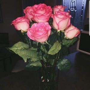 Meet your Posher, Ameena